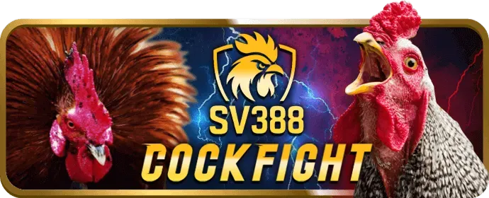 Chương trình VIP may88 bet