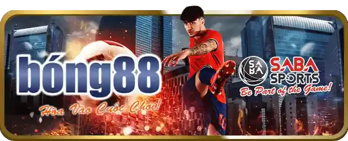 Hoàn trả hàng ngày may88 bet